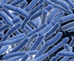 Ecological and evolutionary implications of the sharing of metabolites between different microbes in the gut microbiome