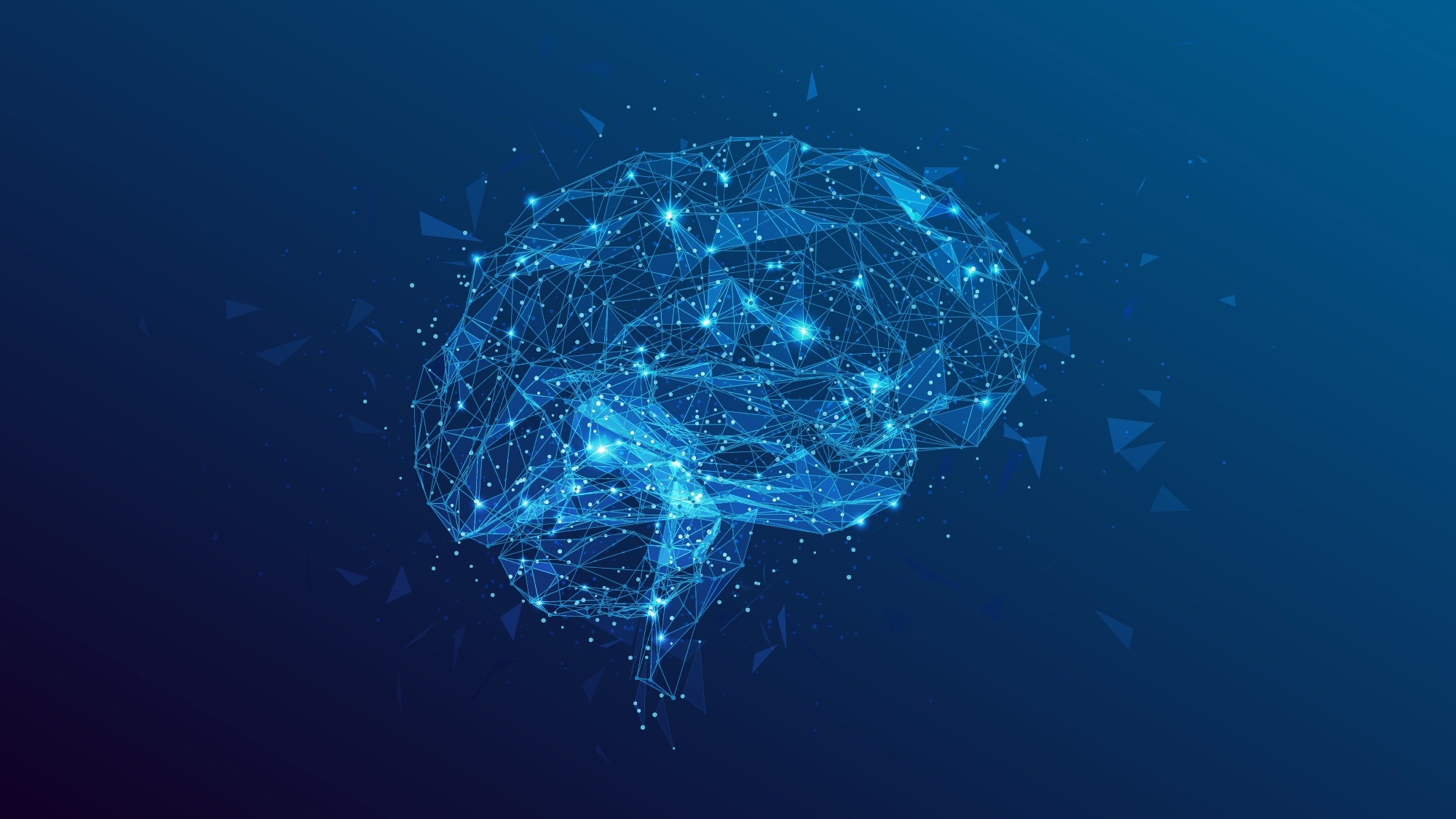 Brain
