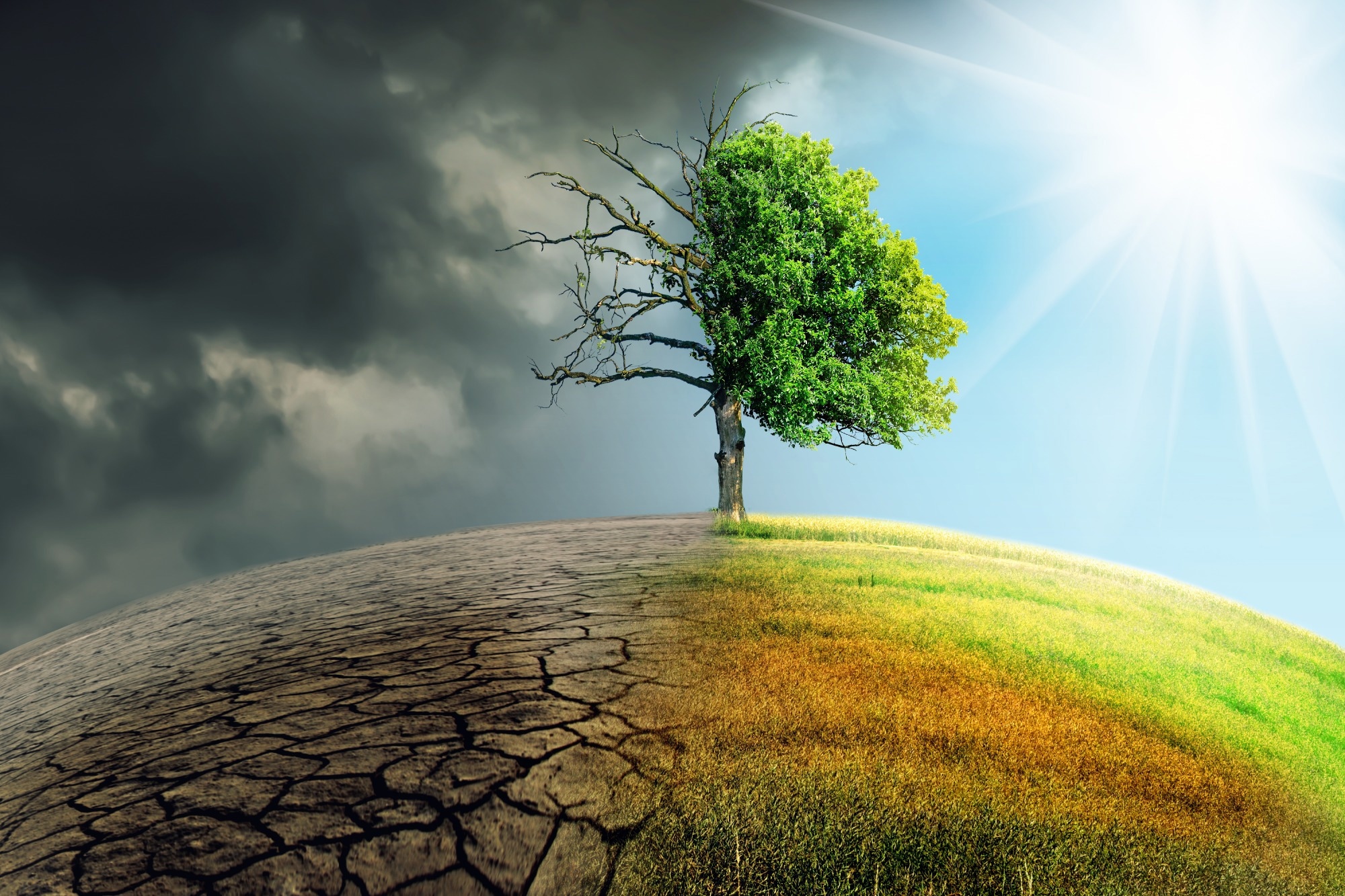 Study: Top 10 public health challenges to track in 2023: Shifting focus beyond a global pandemic. Image Credit: Sepp photography / Shutterstock