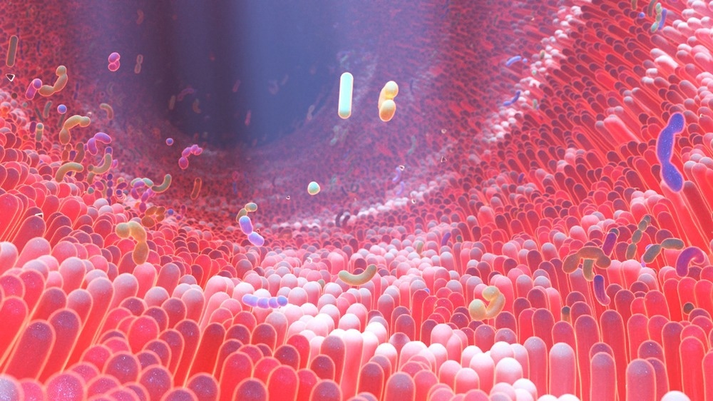 Study: Regulation of gut microbiota by vitamin C, vitamin E and β-carotene. Image Credit: Alpha Tauri 3D Graphics/Shutterstock.com