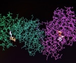 When Spectrometry bridges the gap between Proteomics and Biology