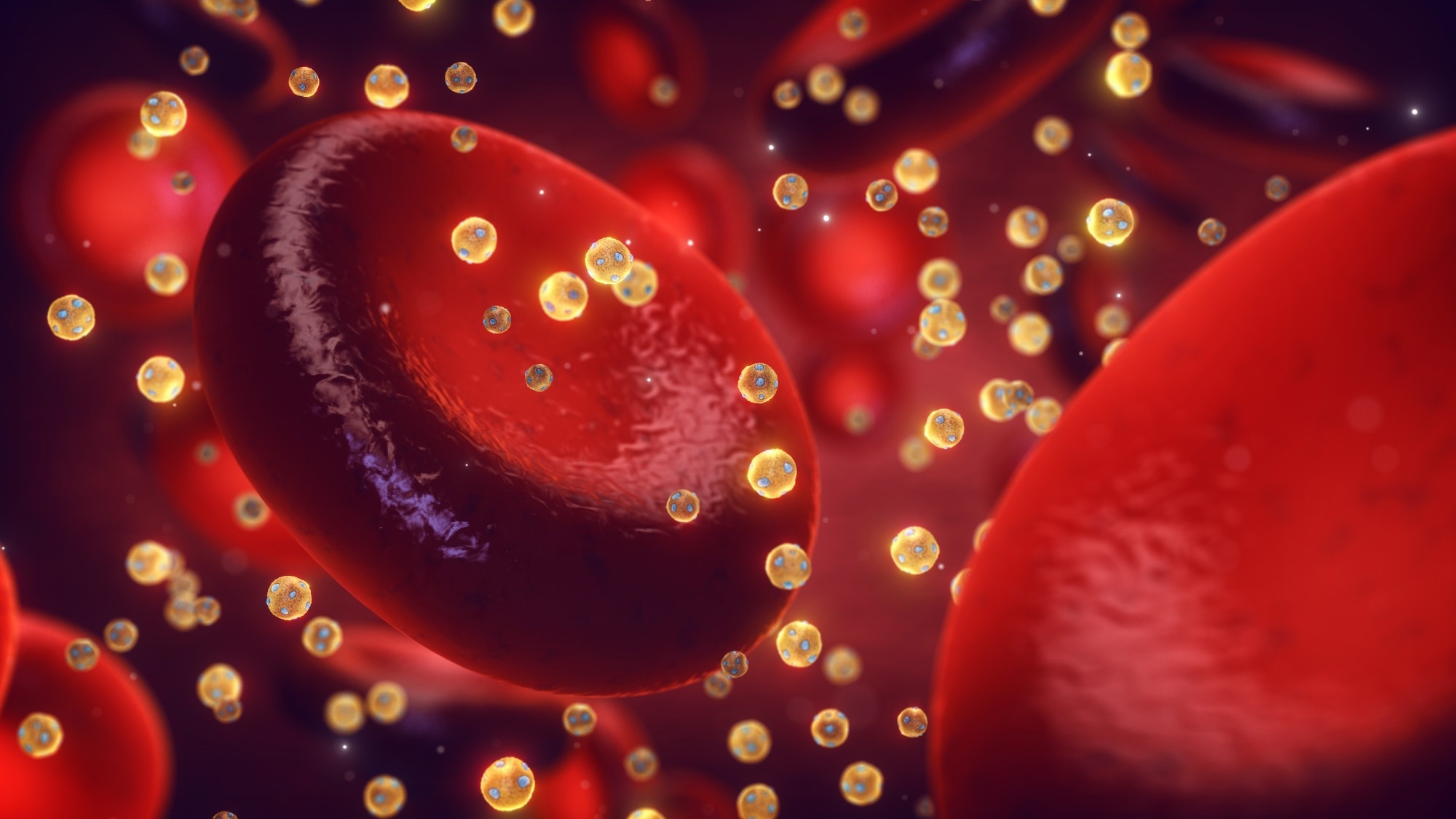 Study: Very High High-Density Lipoprotein Cholesterol Levels and Cardiovascular Mortality. Image Credit: nobeastsofierce / Shutterstock