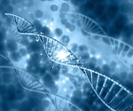 Artificial viral vectors constructed from bacteriophage T4 show promise for advanced gene delivery