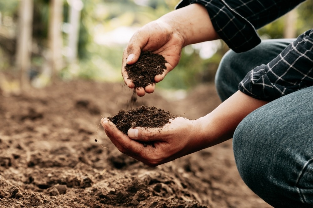 Study: COVID-19 farm outbreaks in Ontario, January - December 2020. Image Credit: Thx4Stock/Shutterstock.com