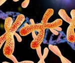 Study reveals surprising link between biological age and child development