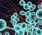 Researchers review the features of hospitalized patients with C. auris infection or colonization in the US