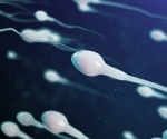An analysis of the differential effect and the impact of SARS-CoV-2 infection on semen quality