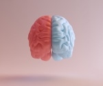Unveiling ancient minds: fossil endocasts unlock secrets of past brains