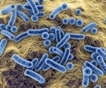 Trends in the prevalence of hospital-associated infections caused by high-priority pathogens