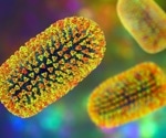 mRNA rabies vaccine induces durable immune response in macaques