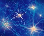 Elucidating the role of the gut-brain-axis in autism