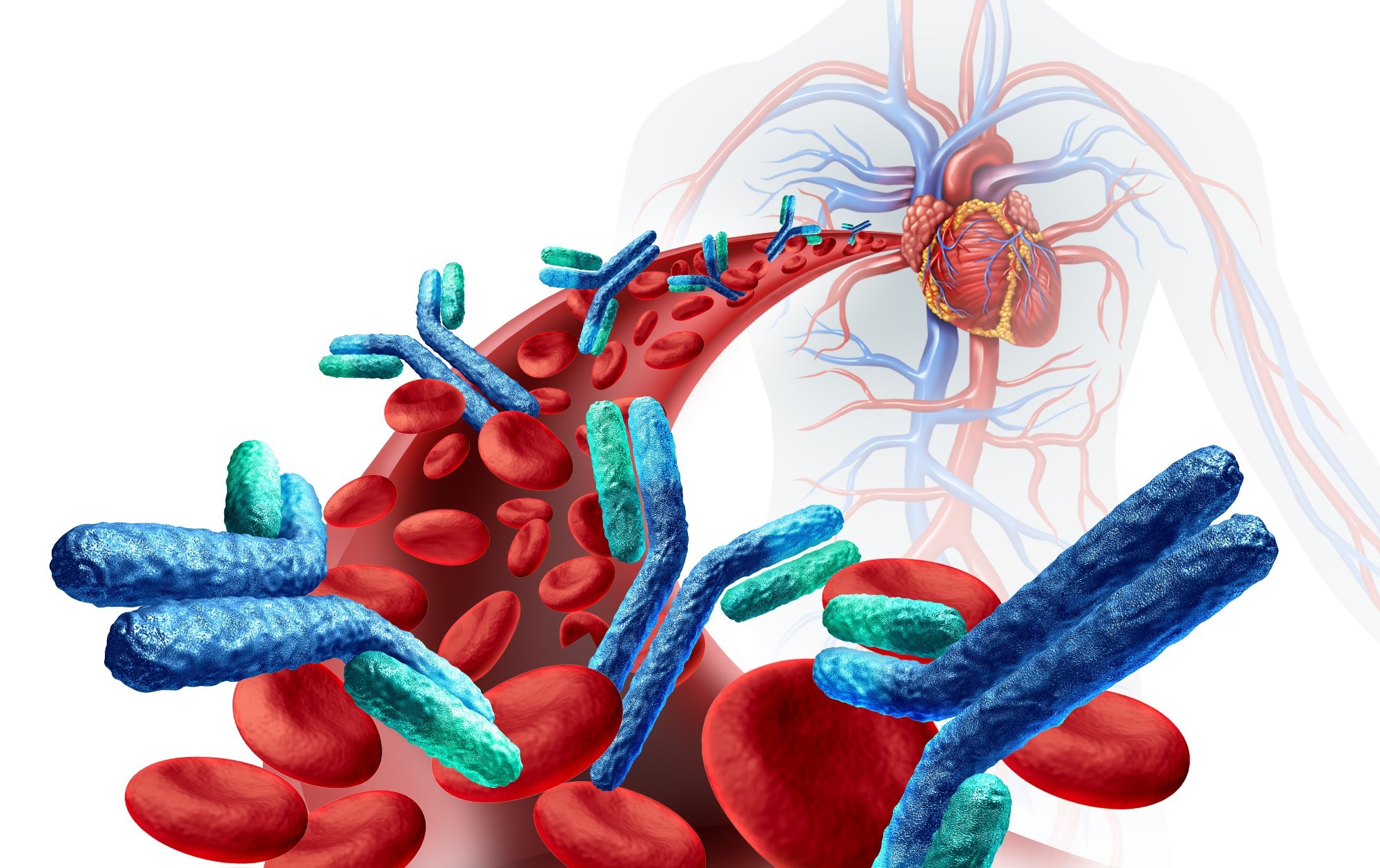 Study: Contributions of the early-life microbiome to childhood atopy and asthma development. Image Credit: Lightspring / Shutterstock.com
