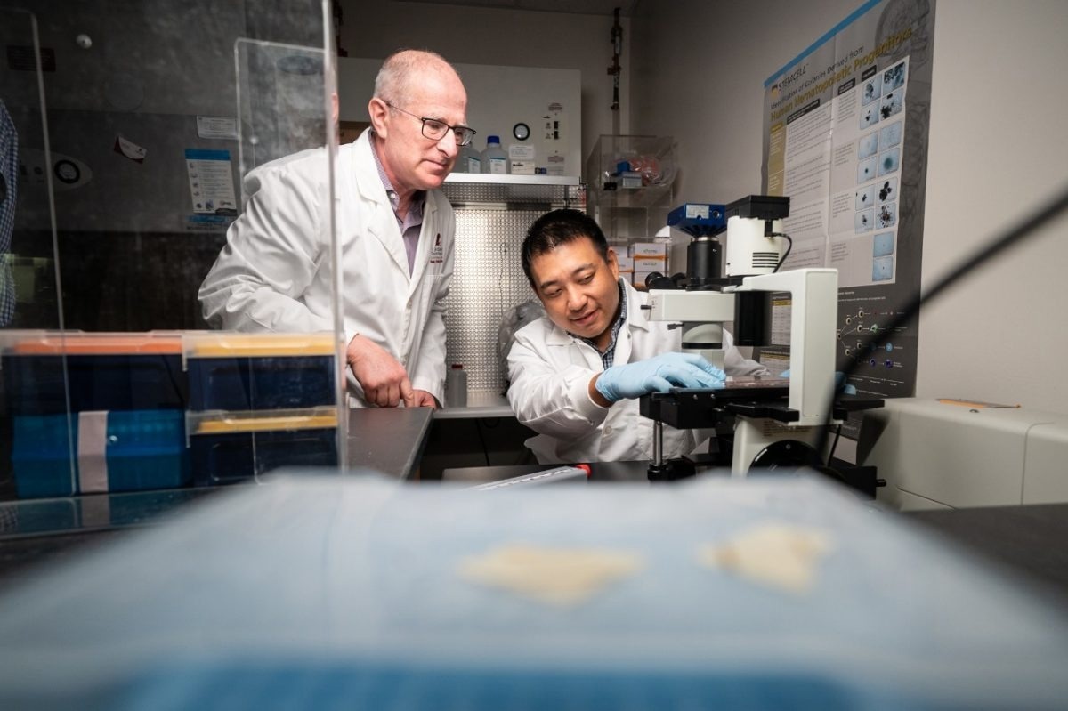 Base editing shows promise for treating sickle cell disease and beta thalassemia