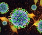 The immunogenicity and safety of poxvirus-based Nipah vaccines that can be used in humans and species