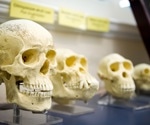 Study identifies specific genetic variants that affect the skeletal form and ties a major evolutionary facet of human anatomical change to pathogenesis