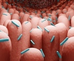 New research sheds light on gut-kidney axis in diabetes and diabetic nephropathy
