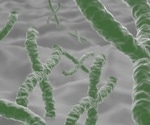 Uncommon genetic allele variants may play a vital role in treatment-resistant depression, finds study