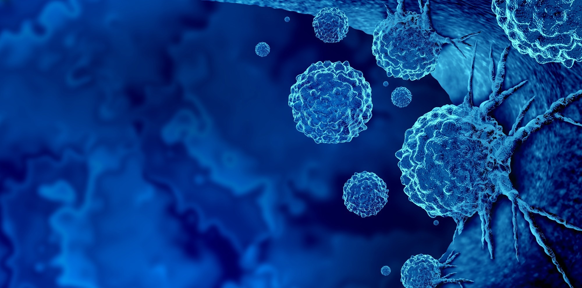 Study: Small molecule targeting of transcription-replication conflict for selective chemotherapy. Image Credit: Lightspring/Shutterstock.com