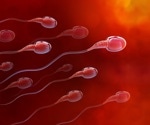 High-level BPA exposure may affect male fertility