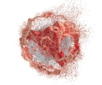 How conversion between different types of cell death contributes to disease