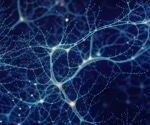 The role of self-extracellular nucleic acids in neuroinflammation
