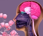 Olfactory dysfunction following mild SARS-CoV-2 infection associated with neurological changes in structural connectivity