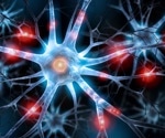 Exploring developmental pathways and disease interactions in nervous and stomatognathic systems