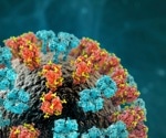 Glycans and GBPs: How their interplay shapes immunity in infection and autoimmune diseases