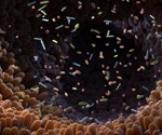 Did the gut microbiome composition of infants change during the COVID-19 pandemic?
