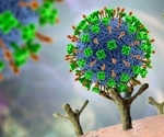 Unlocking ACE2: The enzyme that links COVID-19, heart disease, and diabetes