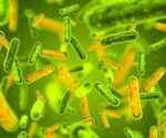 Gut microbes play a starring role in insulin resistance, opening doors for new diabetes treatments