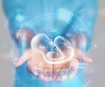 Human post-implantation embryo models show promise in unraveling early development