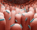 Customized diets: The future of disease management revealed in gut study