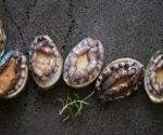Turning fish waste into cancer fighters: How abalone viscera peptides could be the next big thing in medicine