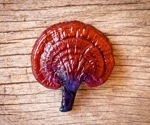 Could a mushroom-derived product be the future of lung cancer prevention?