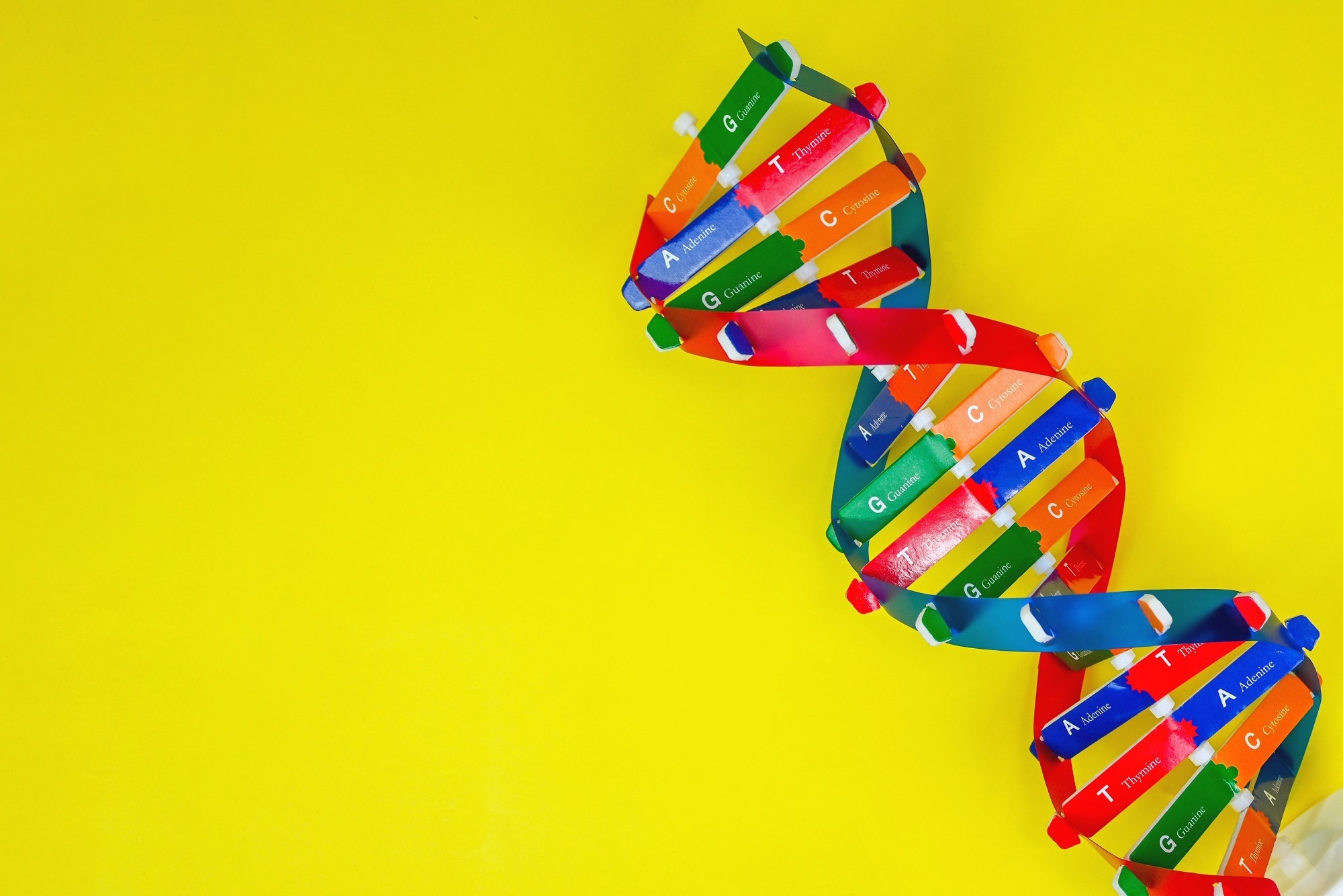 Study: An RNA foundation model enables discovery of disease mechanisms and candidate therapeutics. Image Credit: Joyisjoyful / Shutterstock