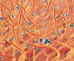 Maternal pertussis vaccination boosts infant protection up to eight months