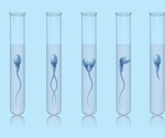 What's really behind the male infertility crisis? New study seeks answers