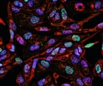 Utilizing Biomarkers in Cancer Prevention, Diagnosis, and Treatment