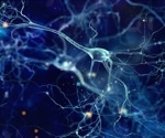 Axon Biology & The Future of Drug Discovery: A Deep Dive with Dr Federico Dajas-Bailador