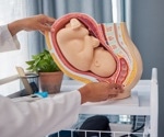 New digital atlas reveals detailed stages of human fetal brain maturation
