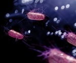 Fresh risks in ready-to-eat produce: Study reveals how common pathogens lurk in our salads