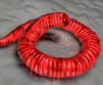 Guinea worm cases near eradication, but animal infections pose new challenge