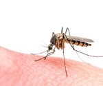 Immunogenicity of insect-specific Zika virus-vectorized vaccine candidates