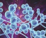 New research may pave the way for treatment of vaginal yeast infections