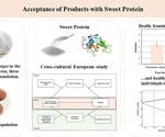 Health benefits and natural ingredients key to promoting sweet protein alternatives over sugar