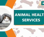 Understanding Global Harmonization of Regulatory CMC within Veterinary Medicine with Tammy Newbold