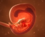 How immune cells shape our earliest breaths