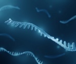 Unlocking the power of diet: How miRNAs influence health and disease