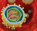 Study finds Epstein-Barr virus T-cells prevalent in early multiple sclerosis